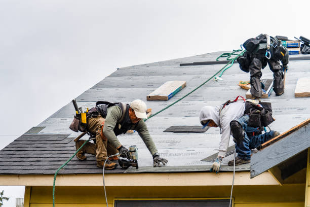 Professional Gutter Installation technician working in Faison, NC